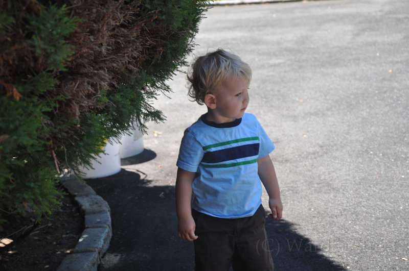 William 201107 154.jpg